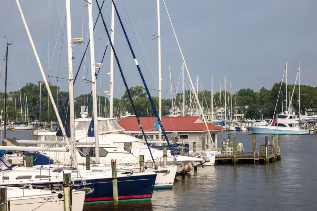 Sailboats Lined Up at Docks from Clubhouse